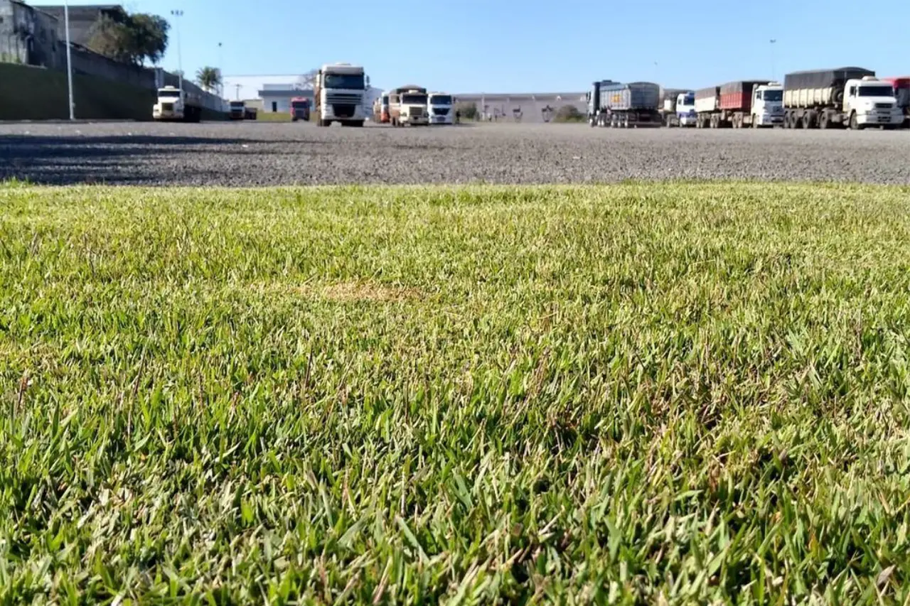 Sobre Fernando Campos Paisagismo em Americana, SP